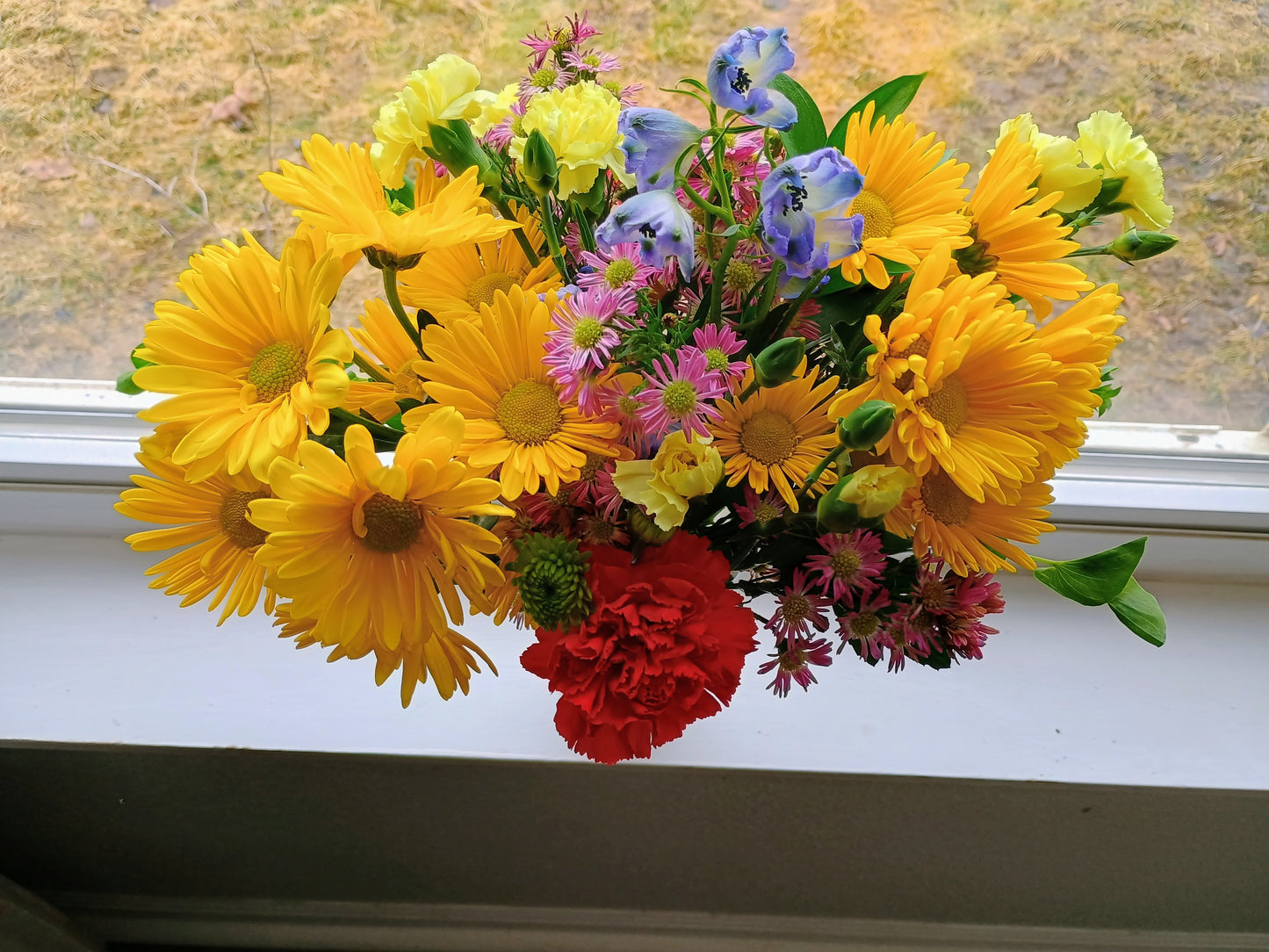 JOYFUL BLOOMS