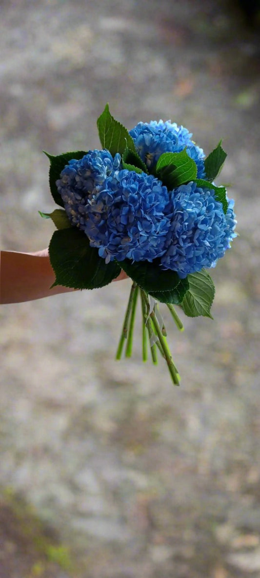 HYDRANGEA BOUQUET