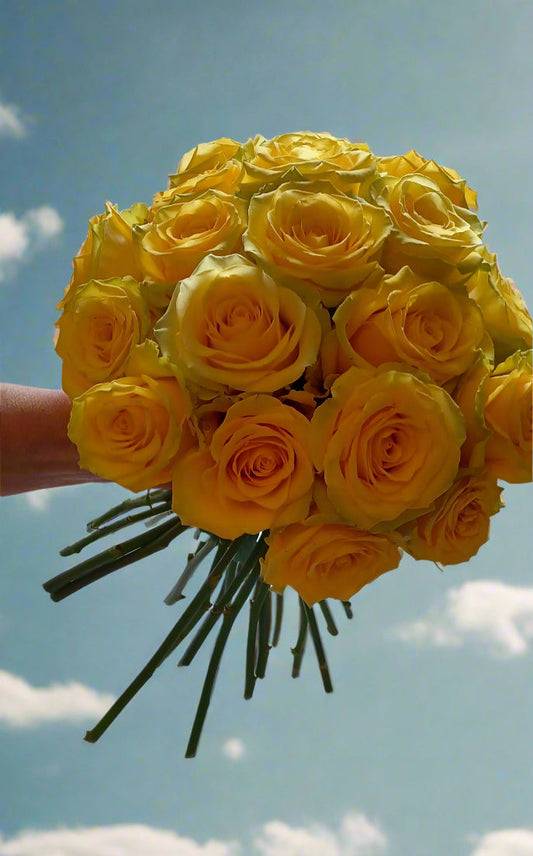 A DOZEN ROSES