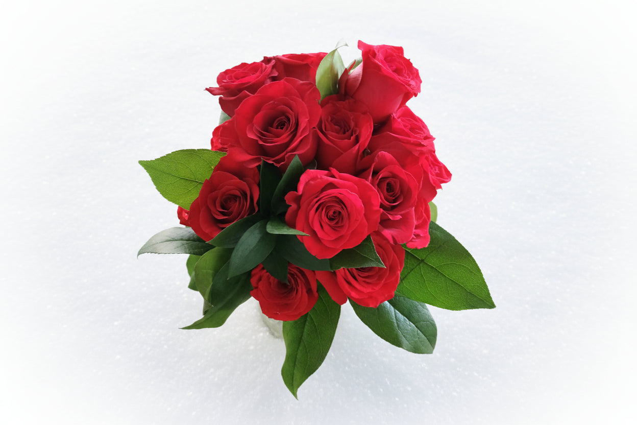 HAPPY VALENTINES DAY
